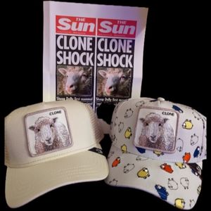 Hello Dolly CLONE BUNDLE